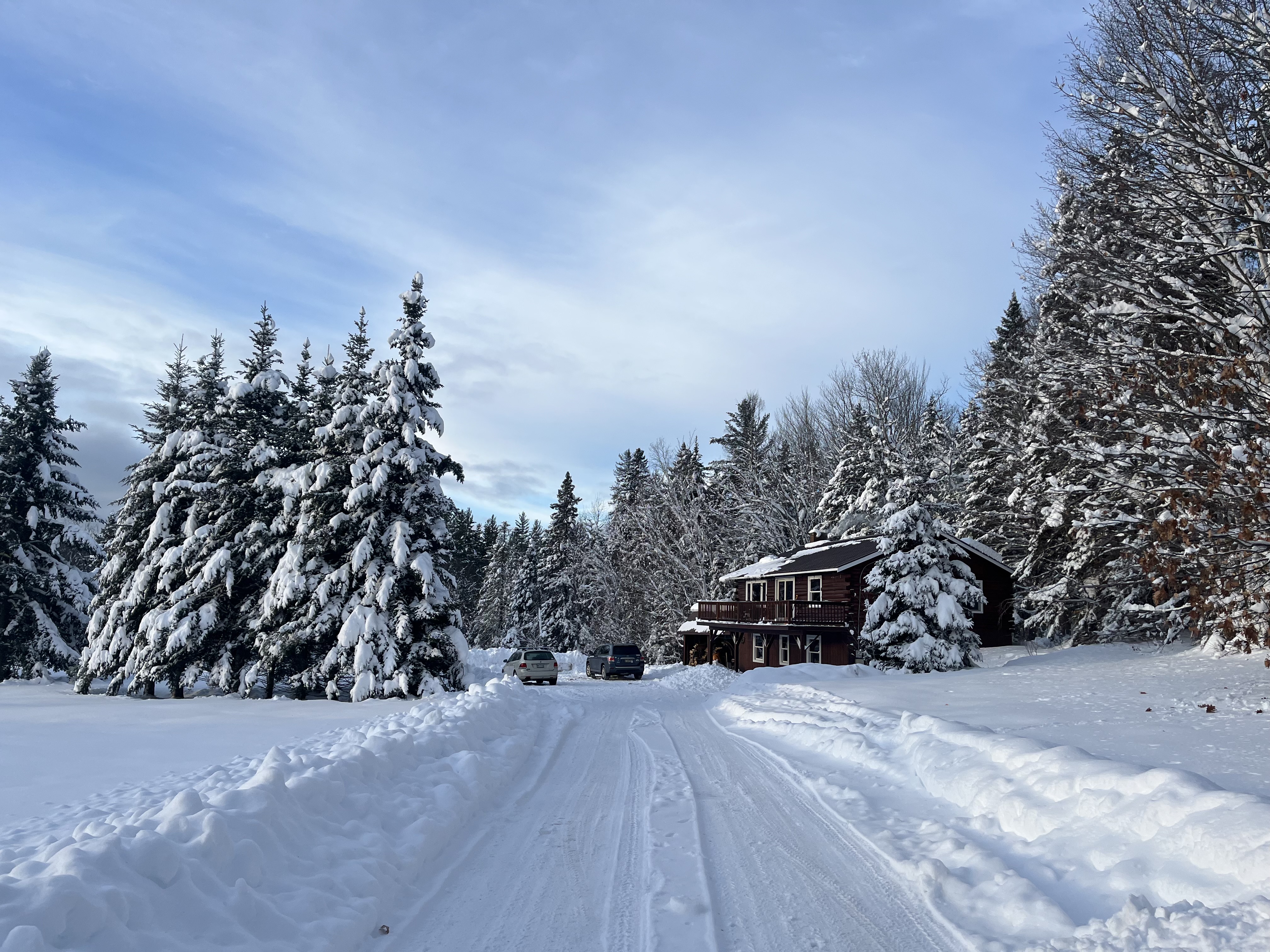Log home from the driveway surrounded by snow-covered spruces