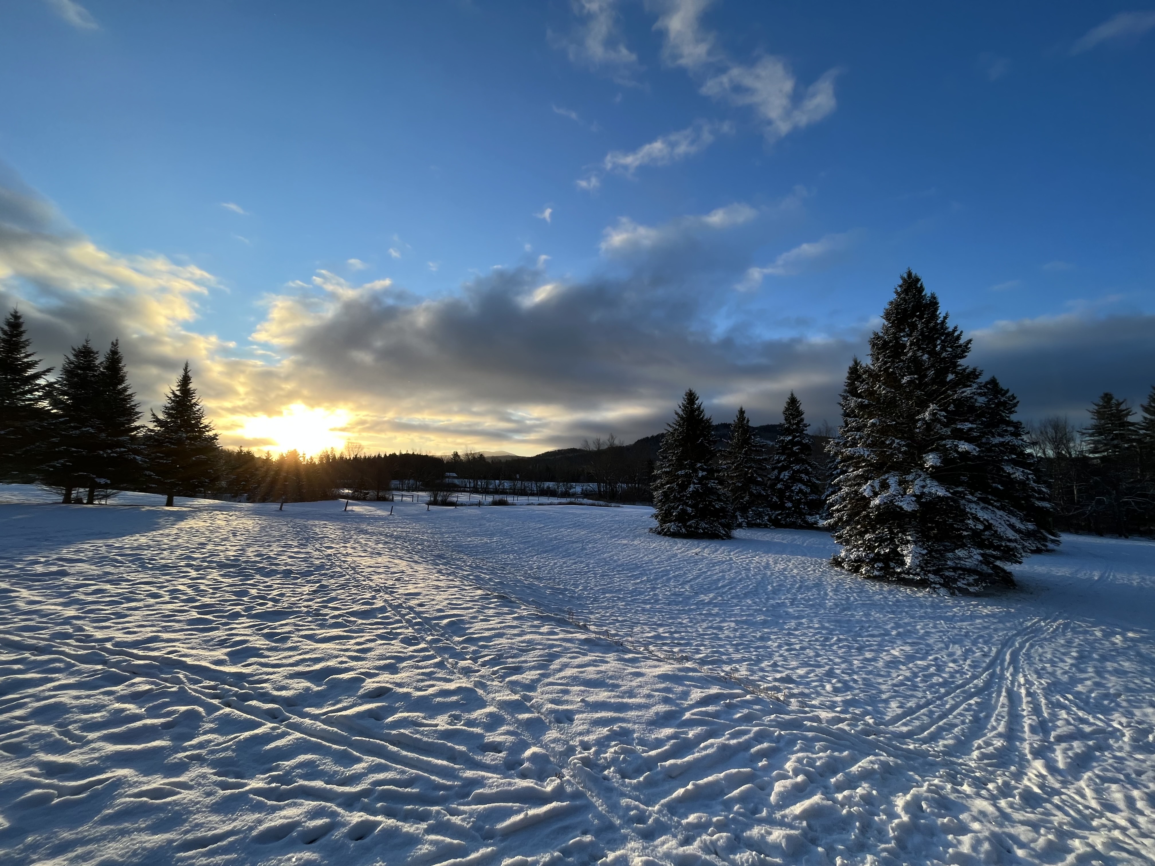 Cross-country ski tracks across snowy field at sunset with mountains in background